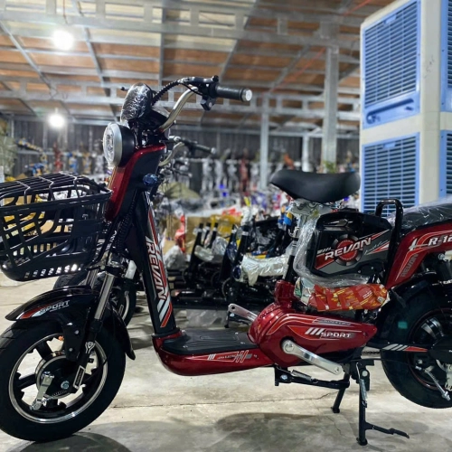 xe điện sonsu revan