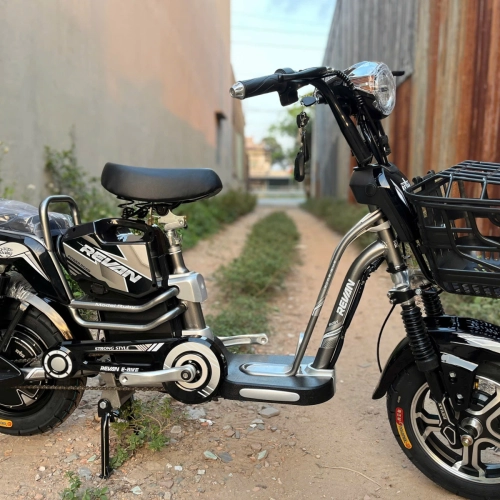 xe điện sonsu revan