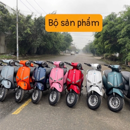 xe điện vina thái 