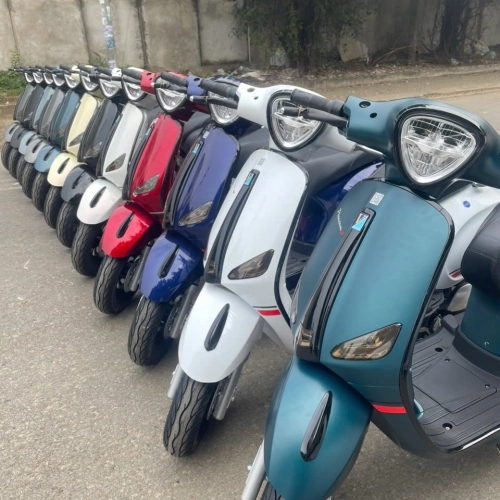 xe điện vina thái 