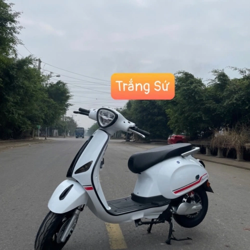 xe điện vina thái 