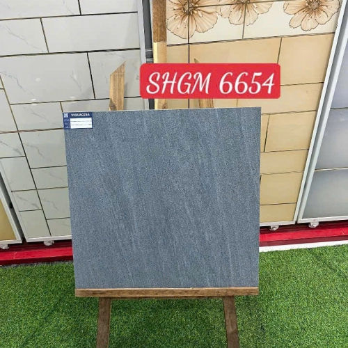 GẠCH LÓT NỀN SHGM 6654