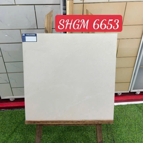 GẠCH LÓT NỀN SHGM 6653