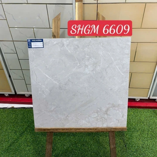 GẠCH LÓT NỀN SHGM 6609
