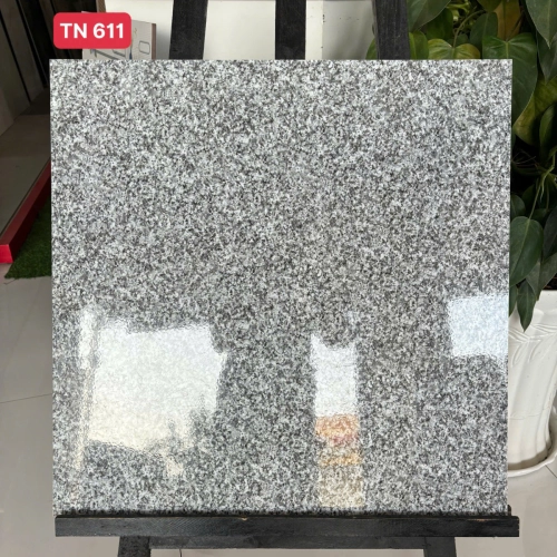 GẠCH LÓT NỀN TN 611
